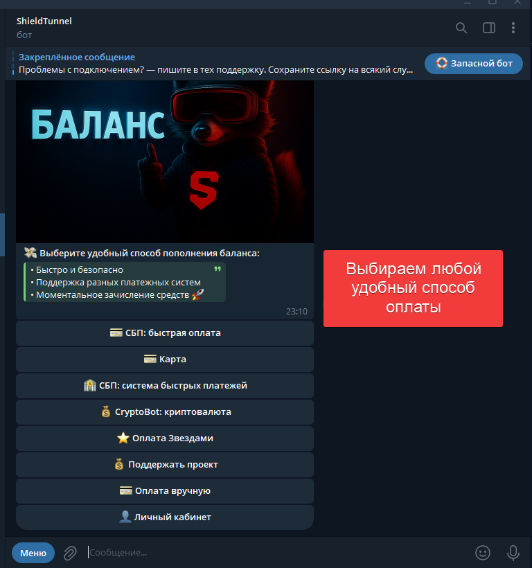 Шаг 3 — Выбор способа оплаты